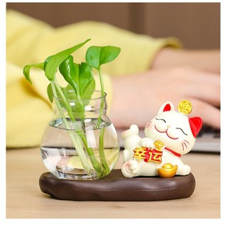 Bình Thuỷ Canh Để Bàn Trang Trí Kèm Tượng Mèo Chiêu Tài, Lọ Thuỷ Sinh Có Đế Và Tượng Decor Thư Giãn