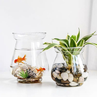 ( Giá dùng thử) Chậu ly thuỷ tinh trồng cây thuỷ sinh dáng loe