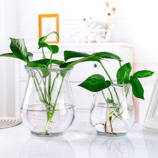 ( Giá dùng thử) Chậu ly thuỷ tinh trồng cây thuỷ sinh dáng loe