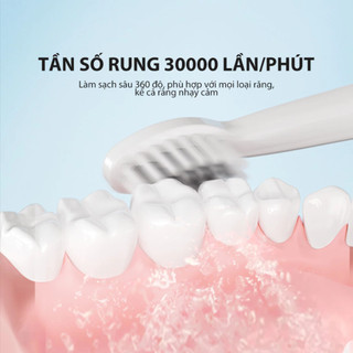 (BH 1 đổi 1) Combo Bàn chải điện Samono SW-ET01, 5 chế độ đánh răng cho người lớn và trẻ em, đầu bàn chải mềm mại