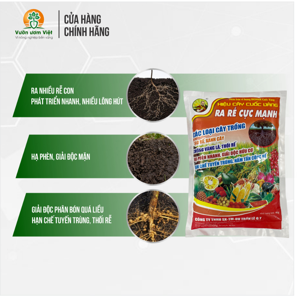 Phân bón Ra Rễ Cực Mạnh đậm đặc tưới được 1000 lít nước cho cây xanh tốt, ra rễ mạnh, lá xanh mướt