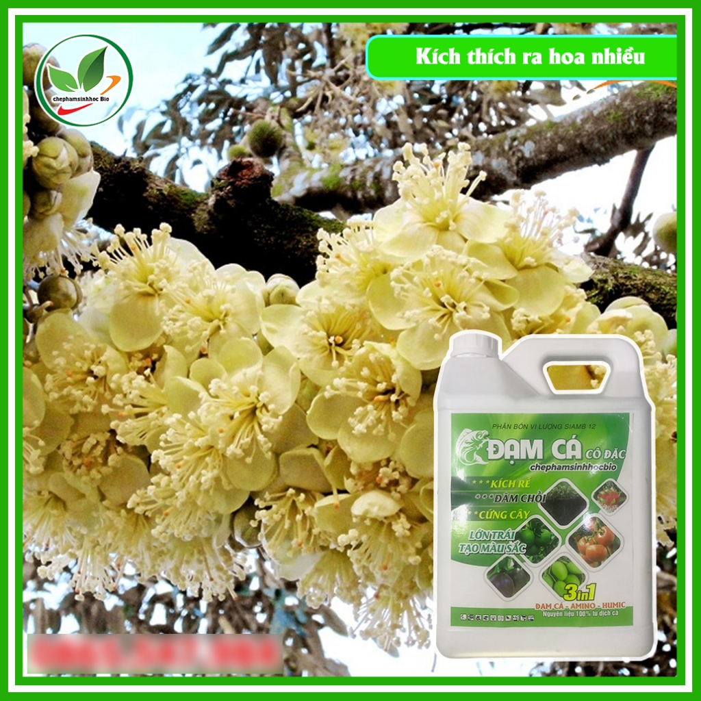 Phân đạm cá đậm đặc hữu cơ sinh học Bio. Đạm cá cô đặc Can 5L