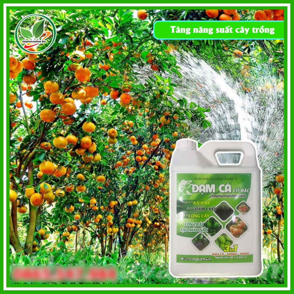 Phân đạm cá đậm đặc hữu cơ sinh học Bio. Đạm cá cô đặc Can 5L