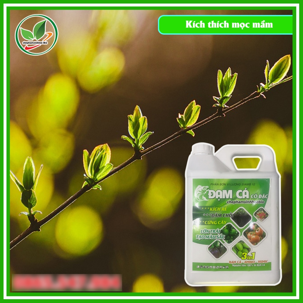 Phân đạm cá đậm đặc hữu cơ sinh học Bio. Đạm cá cô đặc Can 5L