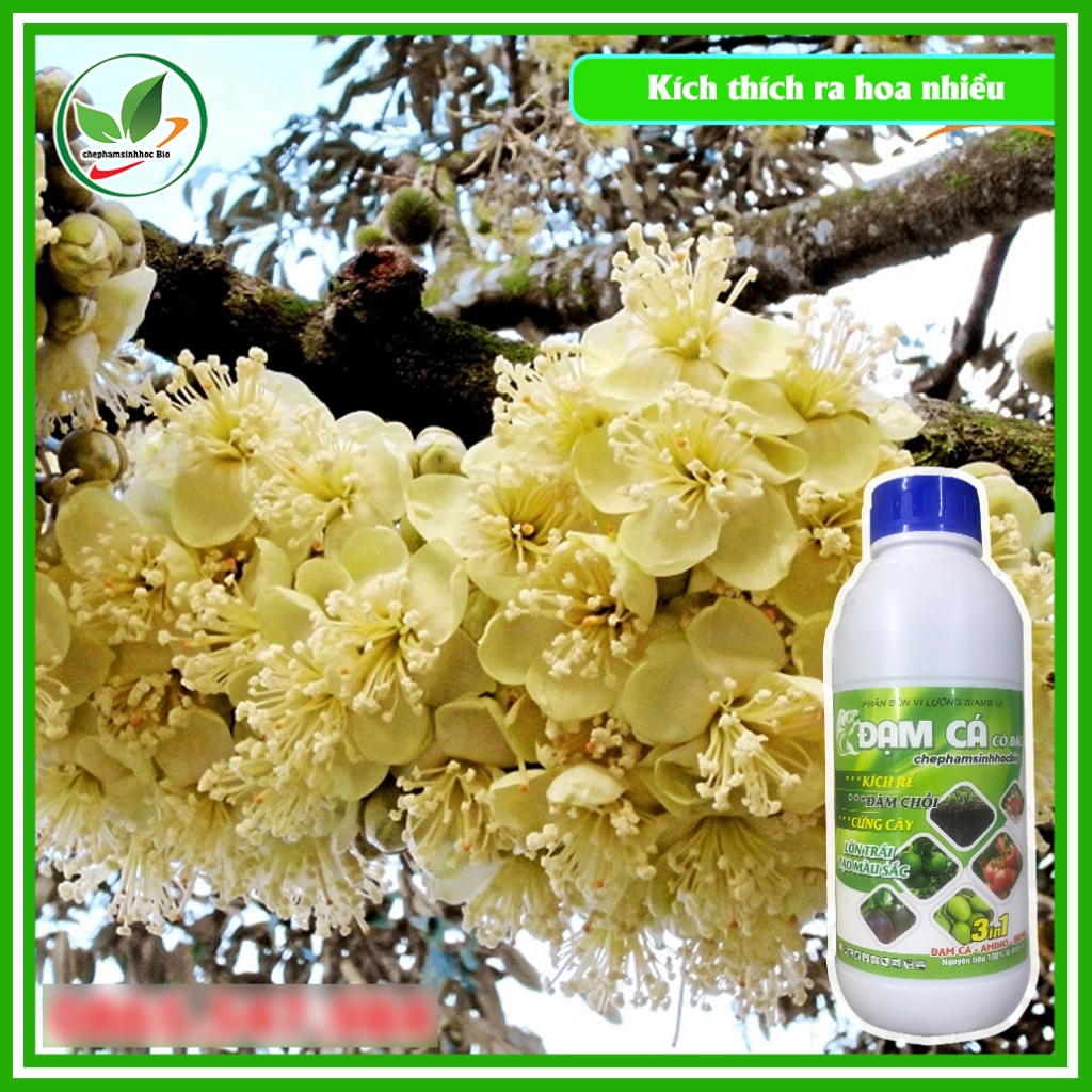 Phân đạm cá đậm đặc hữu cơ sinh học Bio. Đạm cá phân bón cho cây trồng. Chai 1 Lít