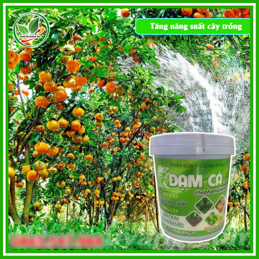 Phân đạm cá đậm đặc hữu cơ sinh học Bio. đạm cá phân bón tốt. Xô 20kg