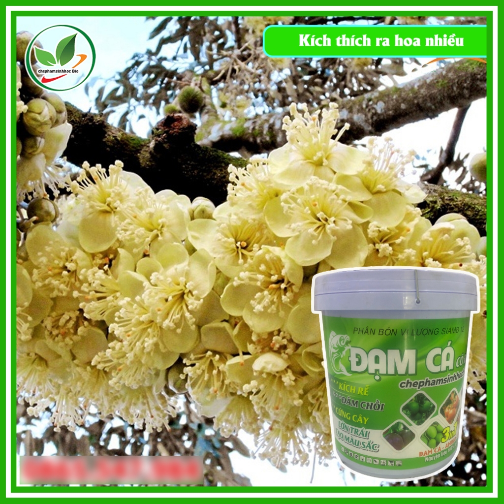Phân đạm cá đậm đặc hữu cơ sinh học Bio. đạm cá phân bón tốt. Xô 20kg
