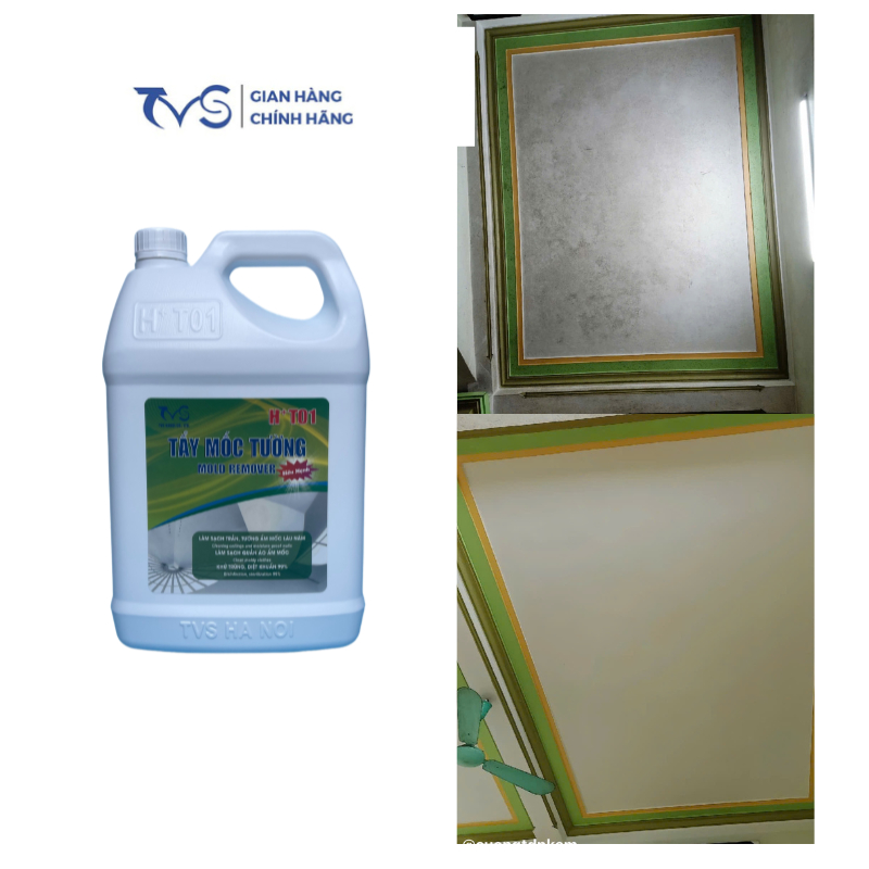 Tẩy Mốc Trần Tường TVS 5L - Diệt Sạch Nấm Mốc & Khử Trùng Hiệu Quả