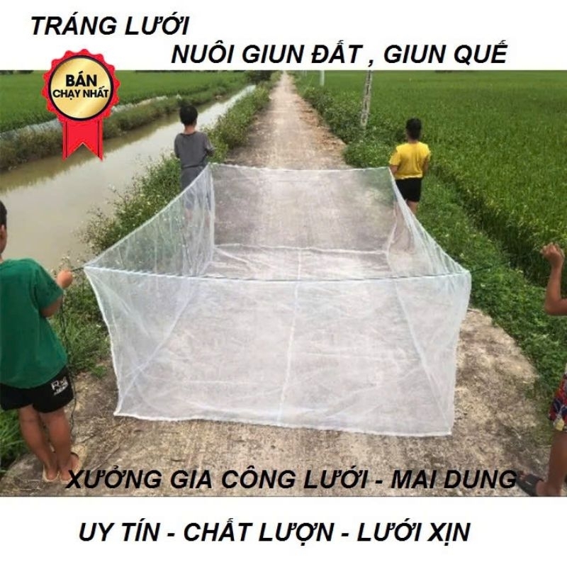 Tráng lưới nuôi giun đất, giun quê, lưới cước mắt nhỏ