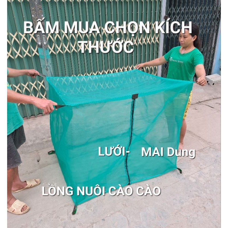 Mùng nuôi ruồi lính đen, lồng nuôi cào cào, châu chấu