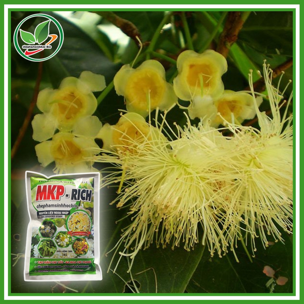 Phân MKP - RICH, Tạo mầm cực tốt - ra hoa cực mạnh, ức chế đọt non - làm già lá nhanh,.... Túi 1kg