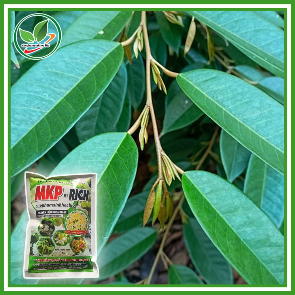 Phân MKP - RICH, Tạo mầm cực tốt - ra hoa cực mạnh, ức chế đọt non - làm già lá nhanh,.... Túi 1kg