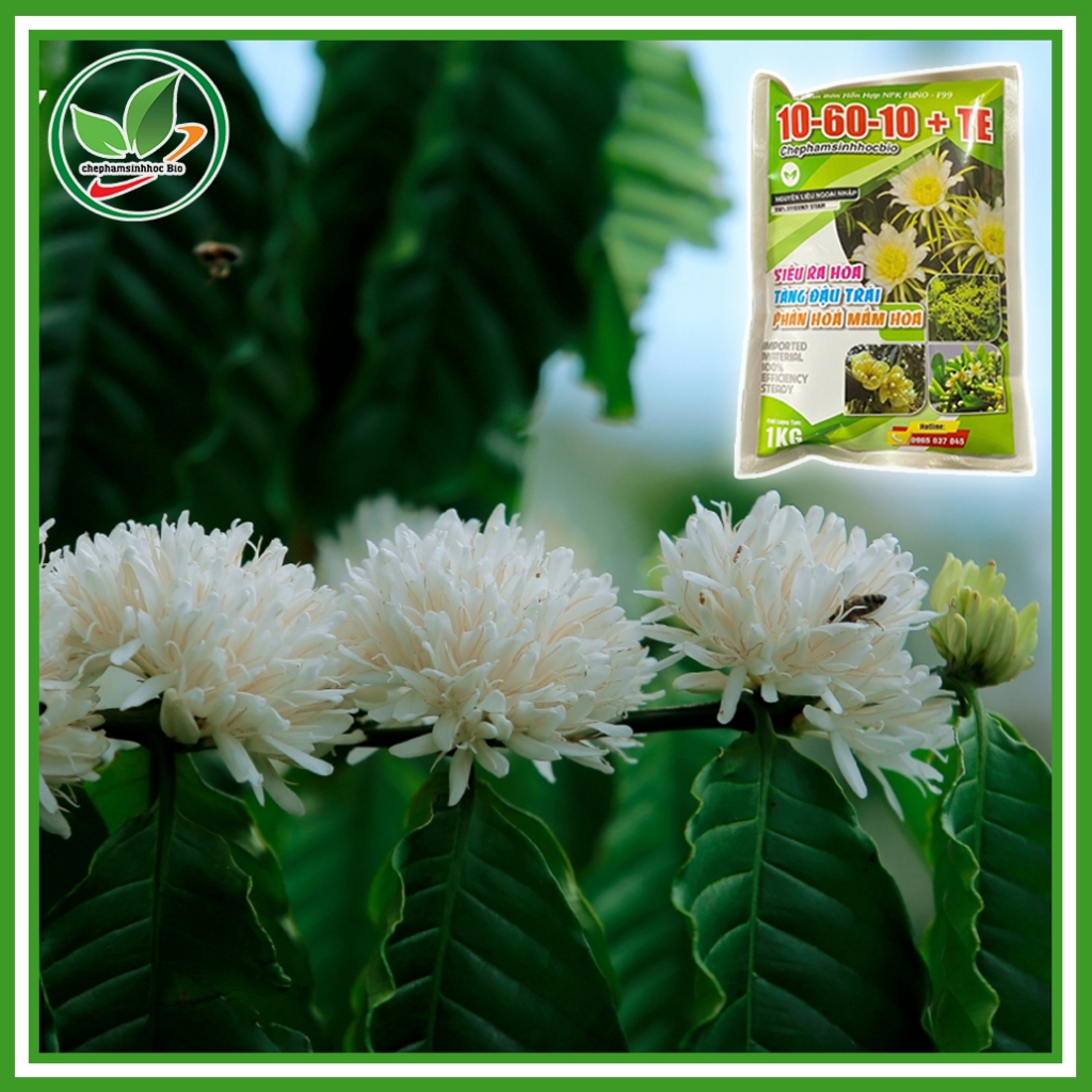 Phân bón hỗn hợp 10 - 60 -10 + TE. Túi 1kg