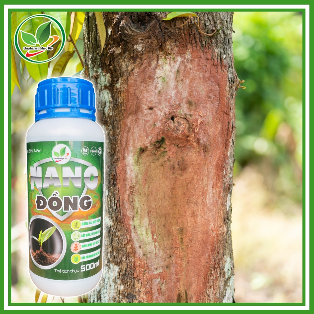 NANO Đồng, diệt nấm, rửa vườn, tẩy rong rêu, không nóng rát, mát cây, thẩm thấu nhanh. Chai 500ml