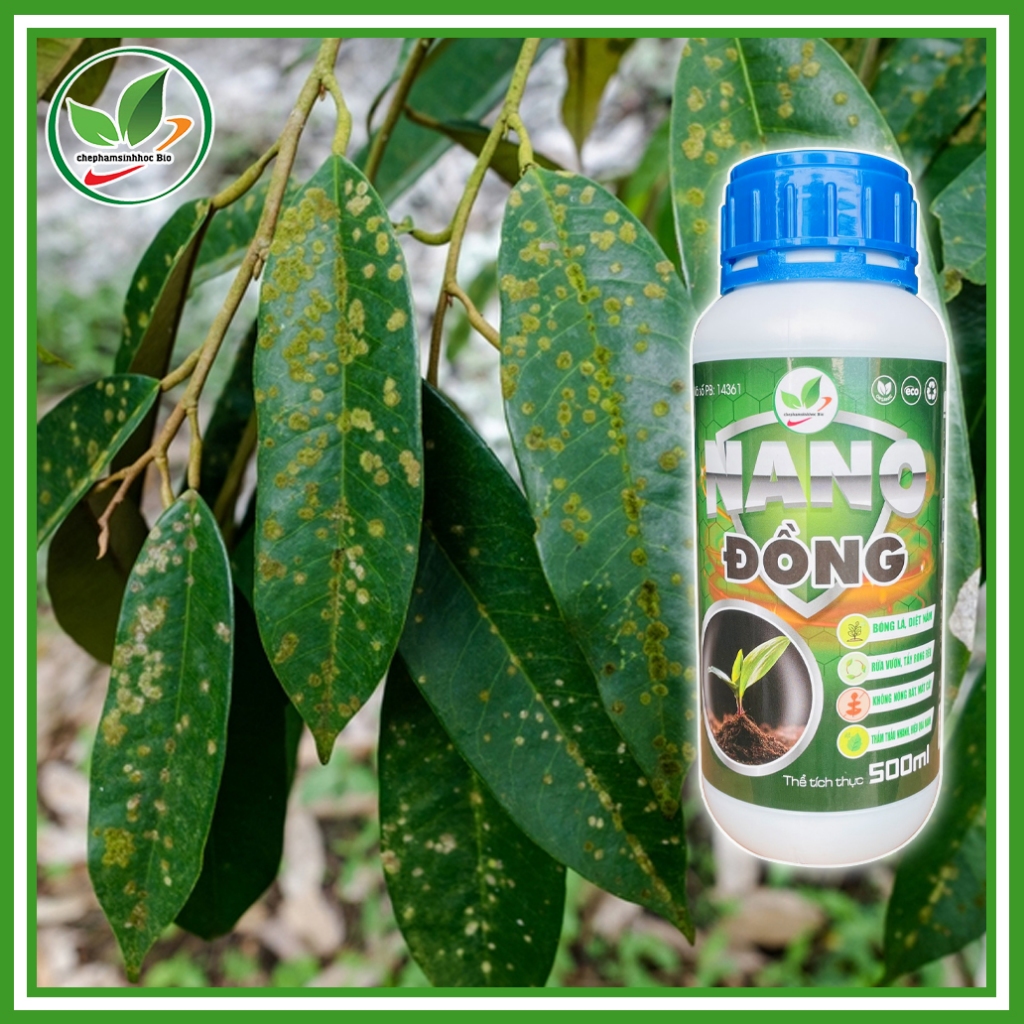 NANO Đồng, diệt nấm, rửa vườn, tẩy rong rêu, không nóng rát, mát cây, thẩm thấu nhanh. Chai 500ml