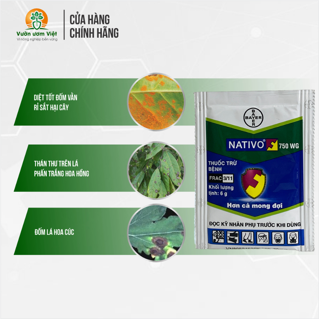 Thuốc trừ bệnh cây trồng Nativo 750WG chính hãng Bayer - 6gr