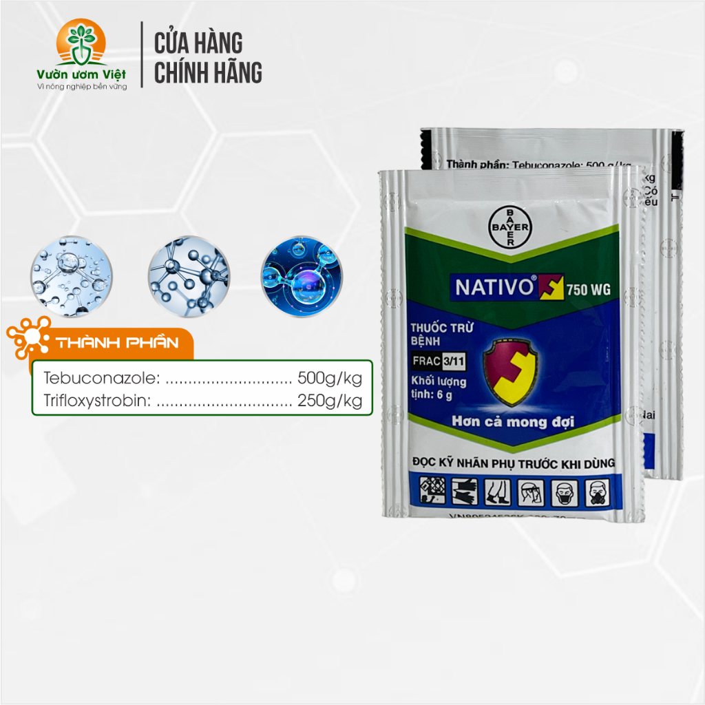 Thuốc trừ bệnh cây trồng Nativo 750WG chính hãng Bayer - 6gr