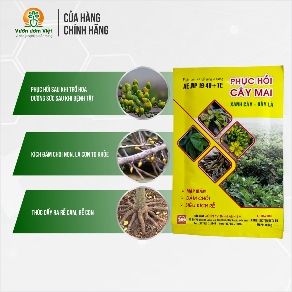 Phân bón PHỤC HỒI CÂY MAI dưỡng cây sau bị sâu bệnh, phục hồi sau khi ra hoa, sang chiết chậu