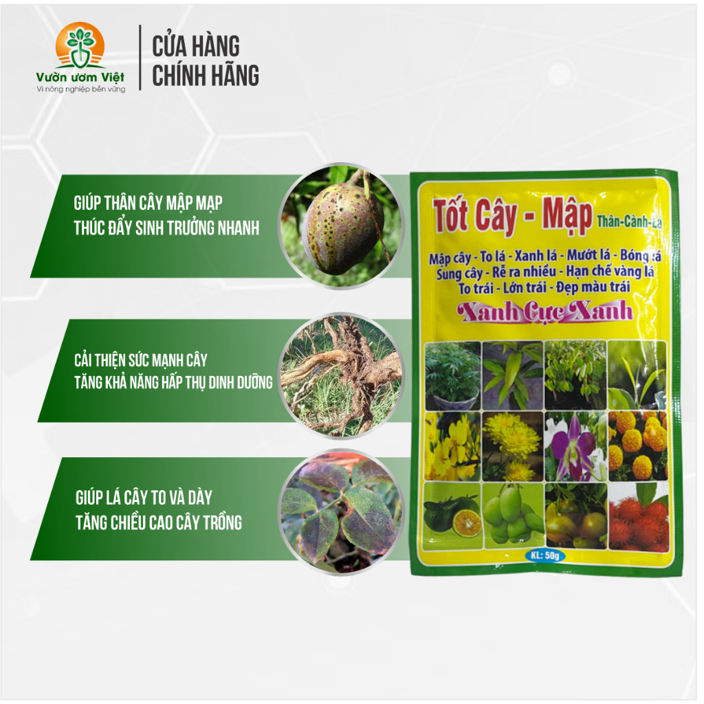 Phân bón lá TỐT CÂY - MẬP dưỡng thân lá cành mập mập, lá dày xanh tốt, chống chịu sâu bệnh khỏe