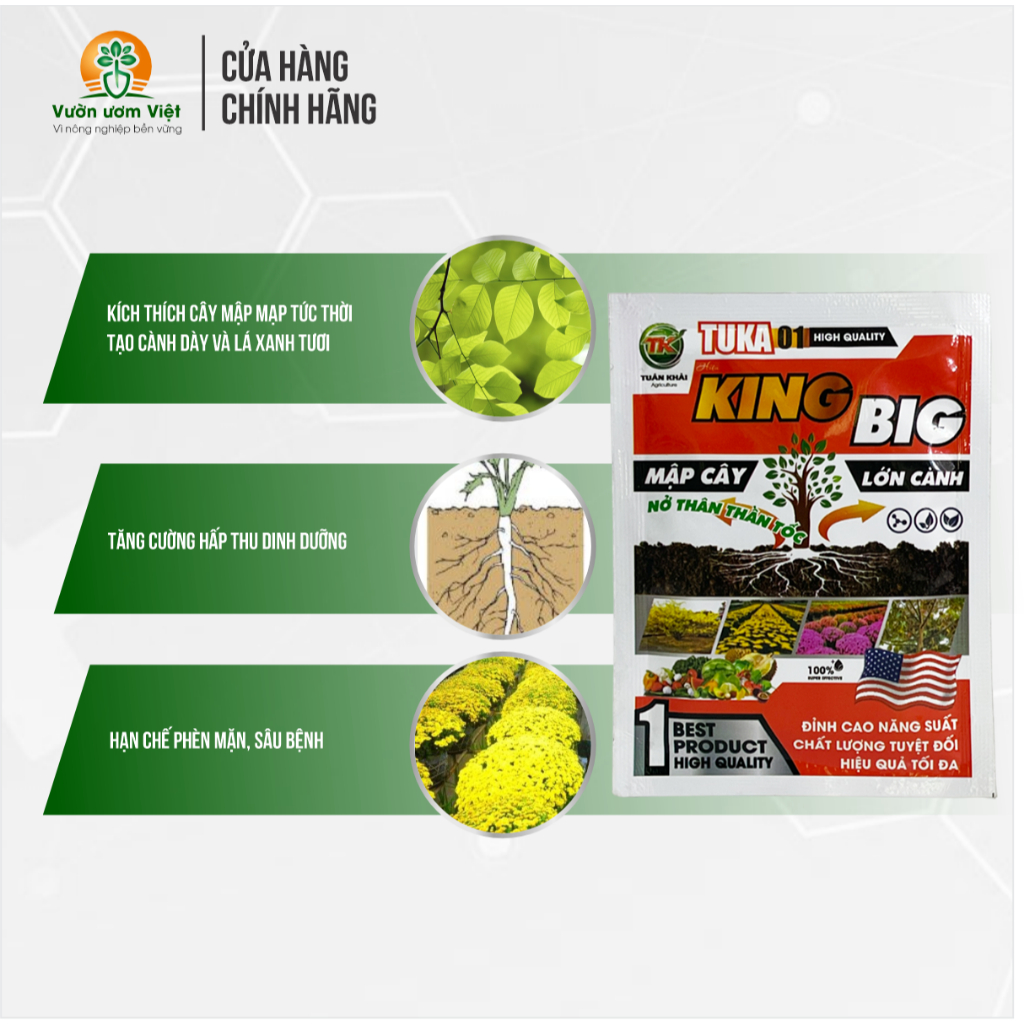Phân bón lá KING BIG làm mập đọt, kích thích nở ngang cực mạnh, gốc to, thân lớn mạnh mẽ - 25gr