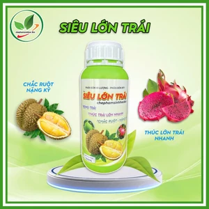 Phân bón vi lượng - Phân bón MT1. SIÊU LỚN TRÁI. Chai 500ml