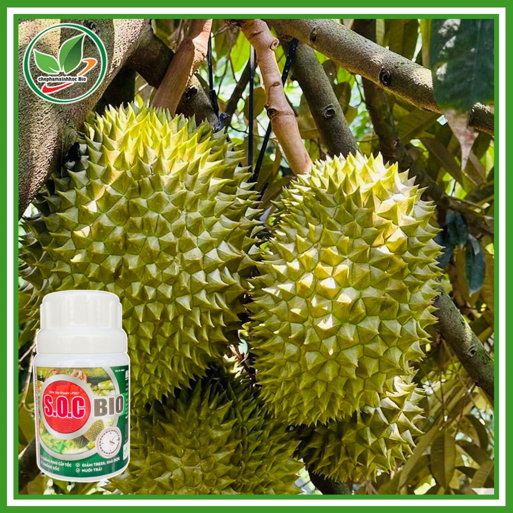 Phân bón S.O.C BIO, Chống rụng cấp tốc, giảm tress, giải độc,... Chai 100ml
