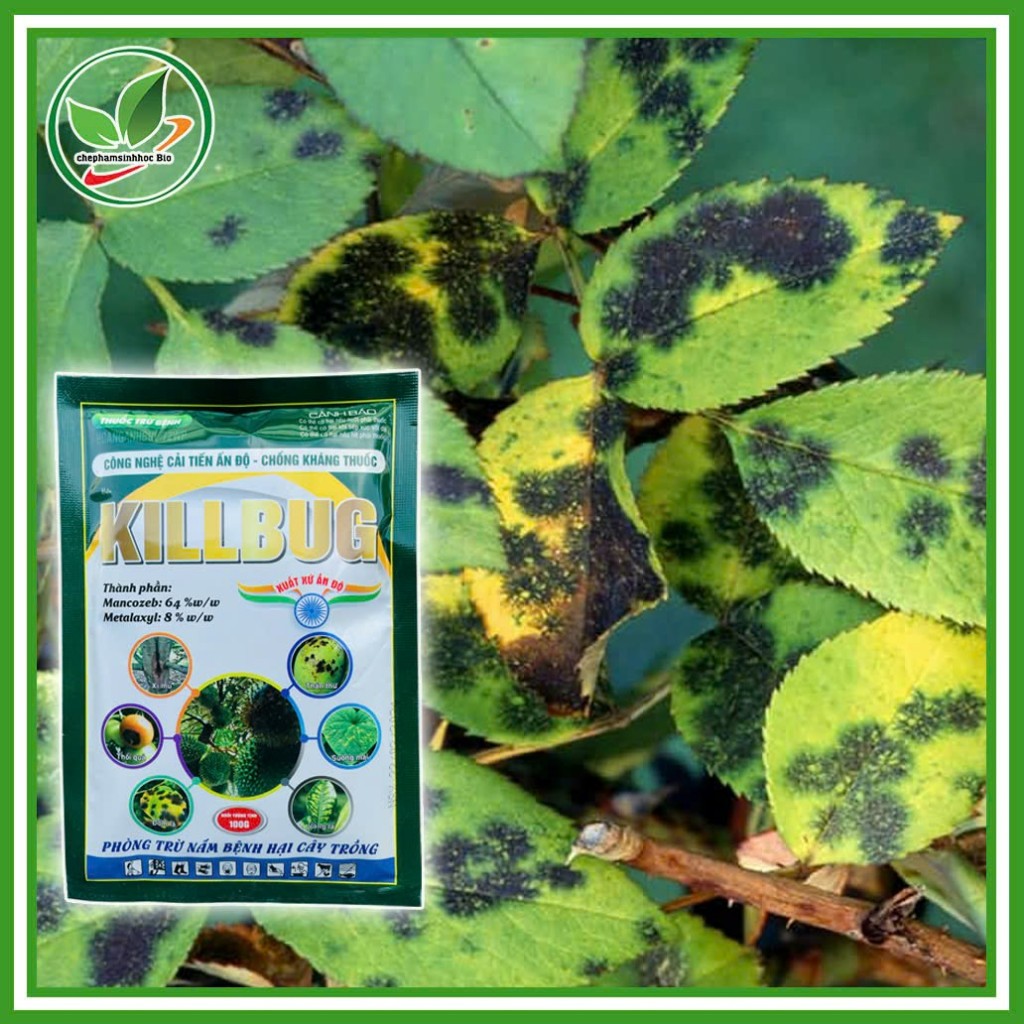 Chế Phẩm KILLBUG. Gói 100g