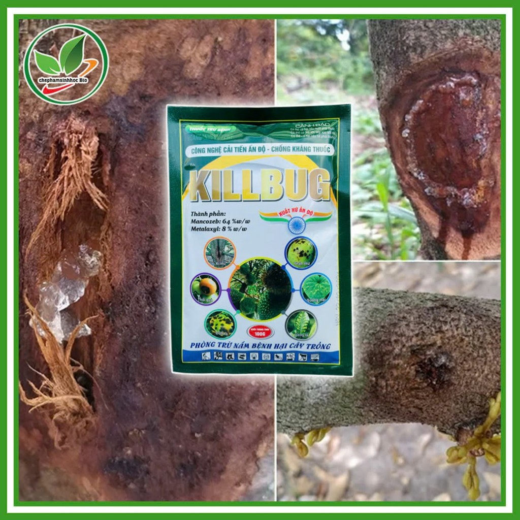 Chế Phẩm KILLBUG. Gói 100g