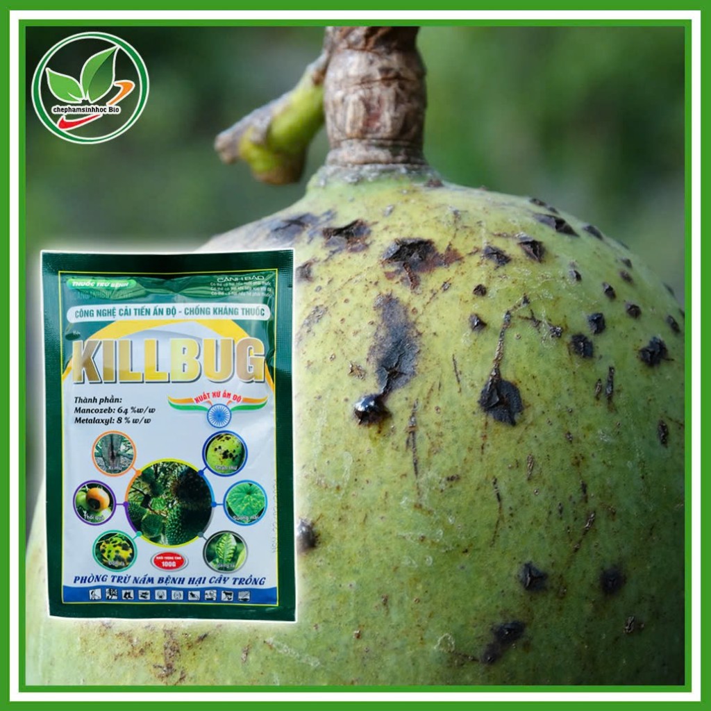 Chế Phẩm KILLBUG. Gói 100g