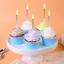 Set Nến Nhũ sinh nhật dùng kèm bento-mini cake, mousse