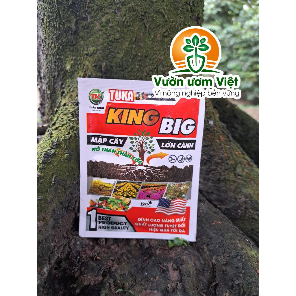 Phân bón lá KING BIG làm mập đọt, kích thích nở ngang cực mạnh, gốc to, thân lớn mạnh mẽ - 25gr