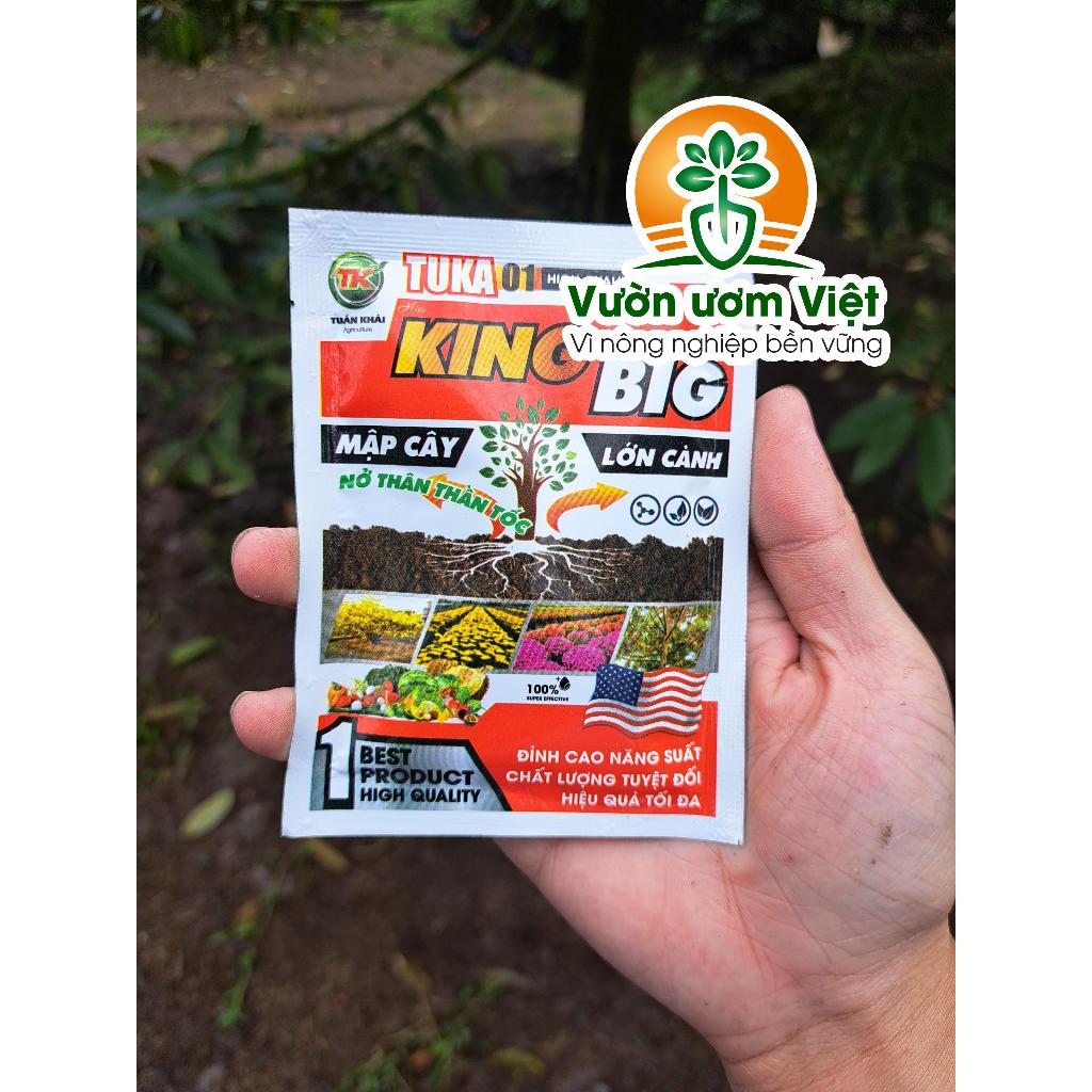 Phân bón lá KING BIG làm mập đọt, kích thích nở ngang cực mạnh, gốc to, thân lớn mạnh mẽ - 25gr