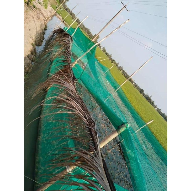 Tráng lưới nuôi ốc ếch cá, vèo lưới nuôi thủy sản - loại 3x2x1