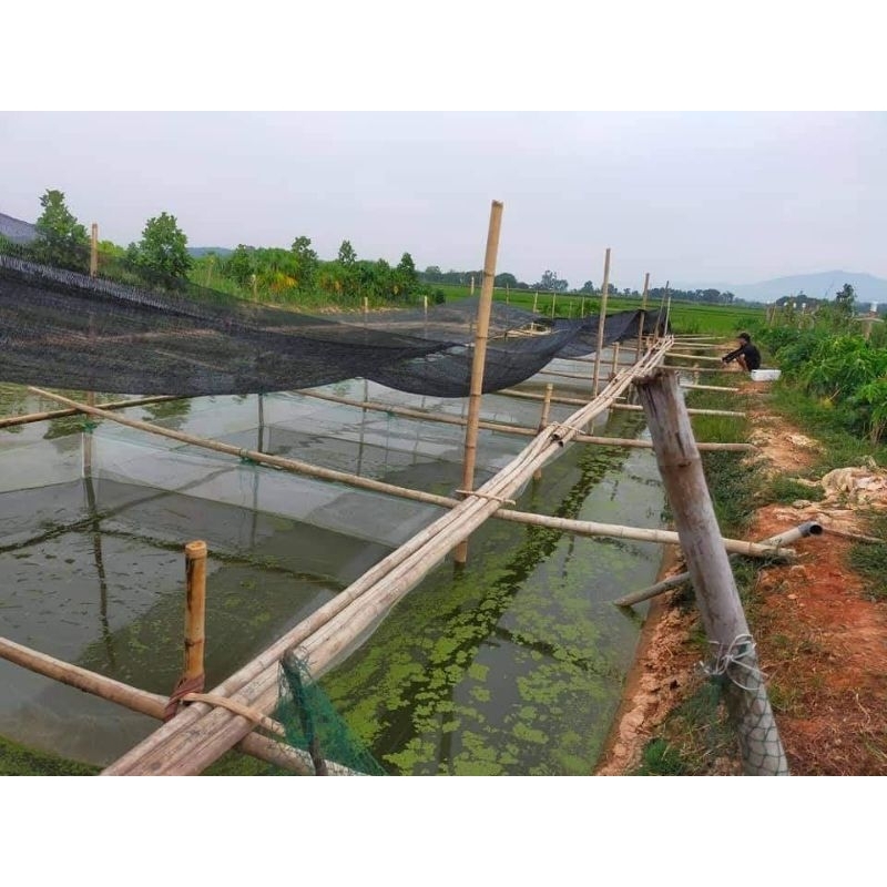 Tráng lưới nuôi ốc ếch cá lươn, vèo lưới nuôi thủy sản