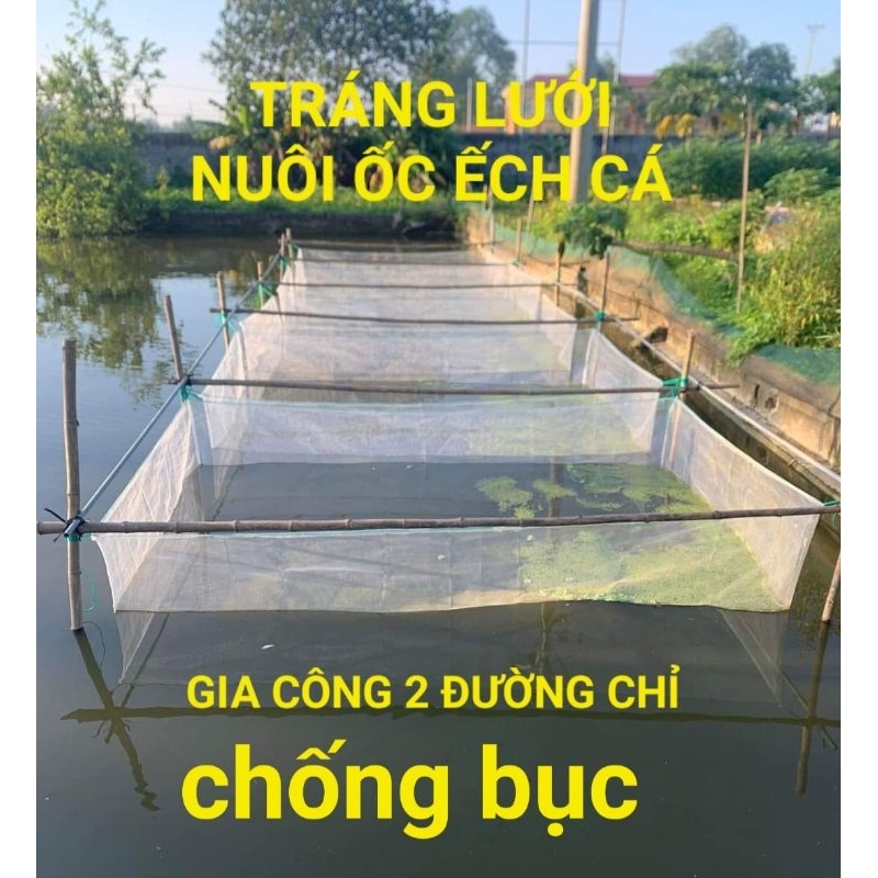 Tráng lưới nuôi ốc ếch cá lươn, vèo lưới nuôi thủy sản