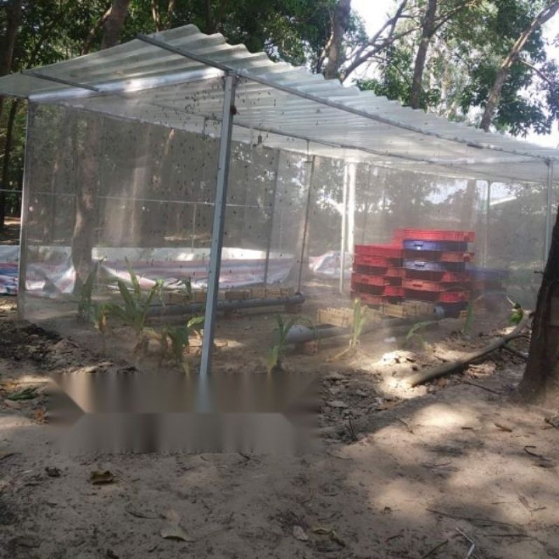 Mùng nuôi ruồi lính đen 5x3x2,5 - lưới thái