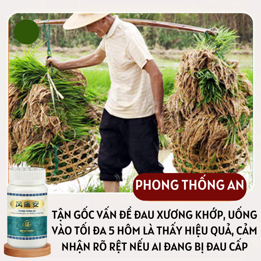 [Xương khớp Trung Y Gia Truyền] Viên uống Phong Thống An chuyên dụng cho người cao tuổi đau xương khớp mãn tính lâu năm