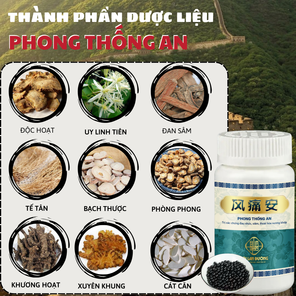 [Xương khớp Trung Y Gia Truyền] Viên uống Phong Thống An chuyên dụng cho người cao tuổi đau xương khớp mãn tính lâu năm