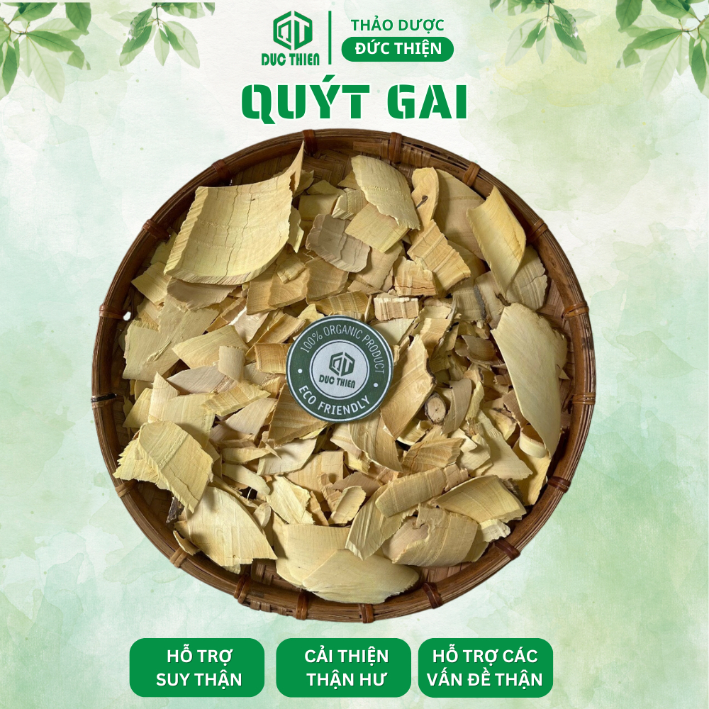 500g Cây Quýt Gai Khô Loại 1 Đức Thiện (Khô, Sạch, Thơm) - Hỗ Trợ Suy Thận, Thận Yếu, Thận Hư