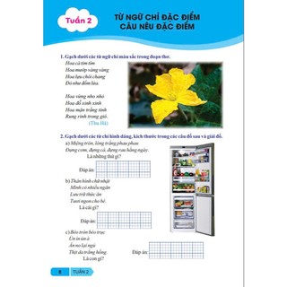 Sách - Vở Bài Tập Nâng Cao Từ Và Câu Lớp 3 - Kết Nối - Ndbooks