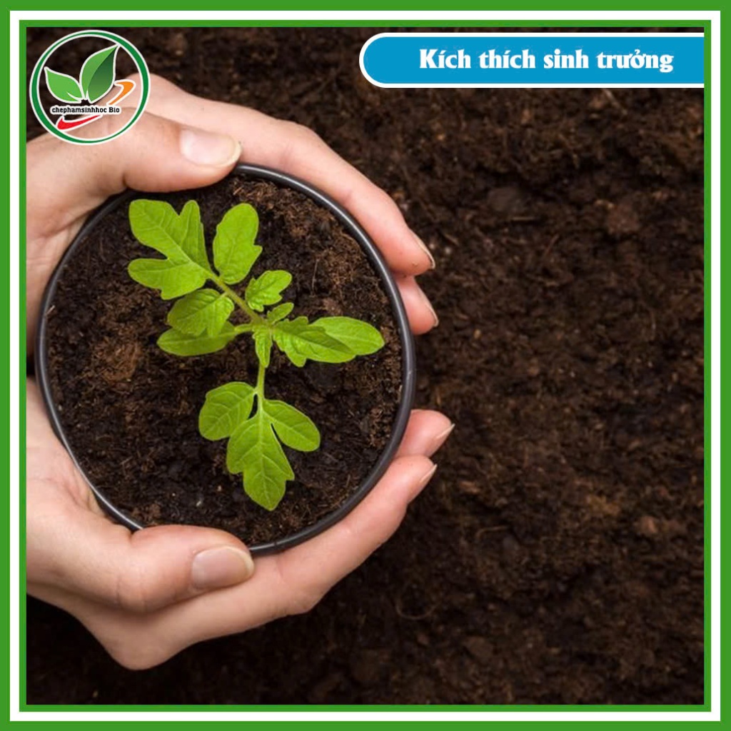 Combo 2 chai Đạm Cá cô đặc bio1 Lít + 1kg humic USA ( nguyên liệu ngoại nhập )