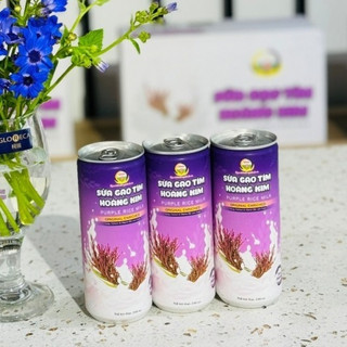 Sữa Gạo Tím Hữu Cơ Hoàng Kim lon 240ml – Bổ Sung Dinh Dưỡng, Eat Clean, Tốt Cho Sức Khỏe
