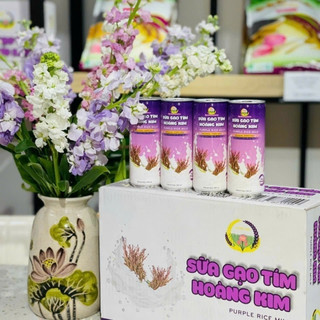 Sữa Gạo Tím Hữu Cơ Hoàng Kim lon 240ml – Bổ Sung Dinh Dưỡng, Eat Clean, Tốt Cho Sức Khỏe