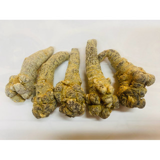 Củ Tam Thất Khô Loại 1 - 32 Củ/kg Và 52 Củ/kg