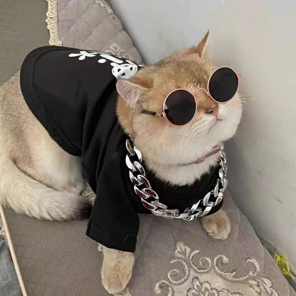 Vòng Cổ Mạ Vàng Bạc Cho Mèo