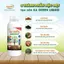 4 chai KA GREEN - Phân bón sinh học KAGREEN bung đọt, mập cành, xanh lá, kích rễ