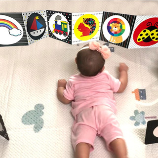 Bộ thẻ gấp kích thích thị giác cho trẻ sơ sinh (0-6 tháng tuổi) - chuẩn phương pháp giáo dục sớm