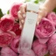 Nước hoa White Tea Wild Rose EDT 10ml | Nước hoa nữ Eliza.beth Ar.den thanh mát