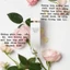 Nước hoa White Tea Wild Rose EDT 10ml | Nước hoa nữ Eliza.beth Ar.den thanh mát