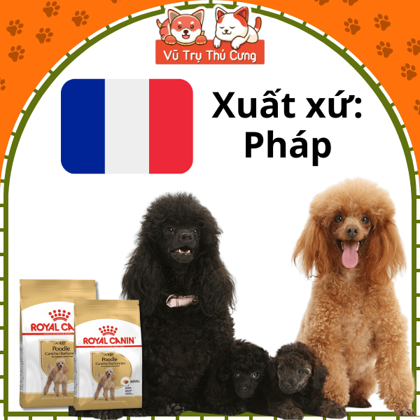 1,5Kg Thức ăn hạt Royal Canin Poodle Adult dành cho chó Poodle trưởng thành